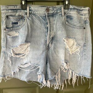 American Eagle Denim FrayedShorts